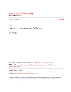 Artificial Insemination Of Swine - Iowa State University Digital