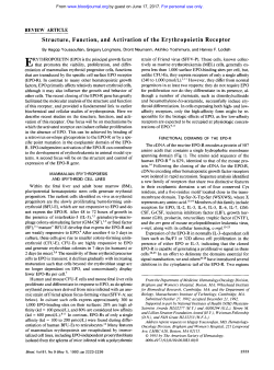 Structure, Function, and Activation of the