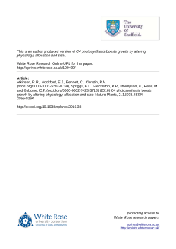 C4 photosynthesis boosts growth by altering physiology, allocation