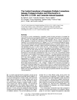 The Central Executioner of Apoptosis