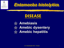 Entamoeba histolytica