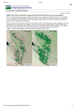 IRAQ: 2015 Rice Production Drops by More than Half due to Lack of