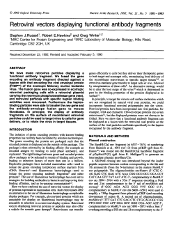 Retroviral vectors displaying functional antibody