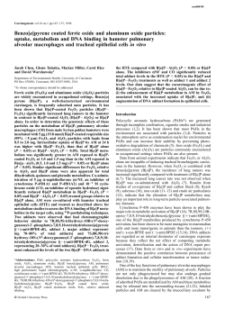 Benzo[a]pyrene coated ferric oxide and aluminum oxide particles