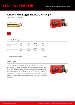 Ammunition Geco Hexagon 9 mm 124 grain