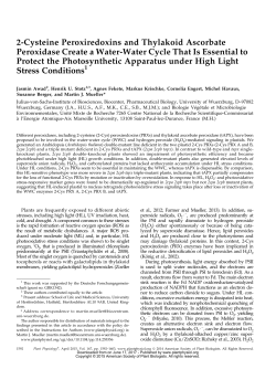2-Cysteine Peroxiredoxins and Thylakoid