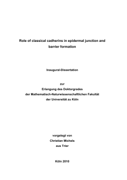 Role of classical cadherins in epidermal junction and barrier formation