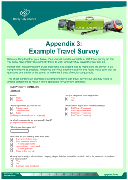Appendix 3: Example Travel Survey