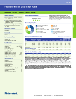 Max-Cap Index Fund - Investor Fact Sheet