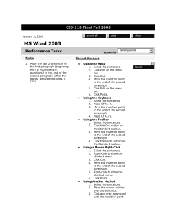 MS Word 2003