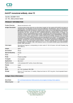 Anti-KIT monoclonal antibody, clone Y2