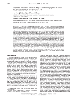 Segmental Rotational Diffusion of Spin