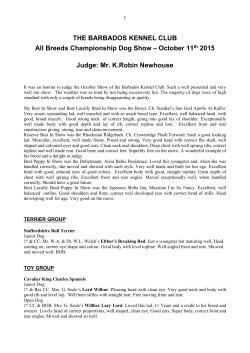 to view 11th October 2015 Show Critique