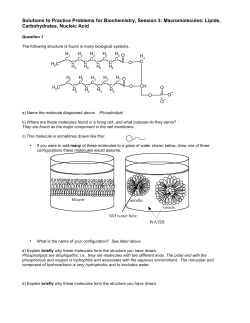 Solutions to Practice Problems for Biochemistry, Session 3