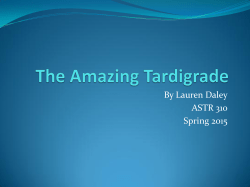 The Amazing Tardigrade