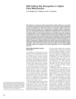 RNA Editing Site Recognition in Higher Plant Mitochondria