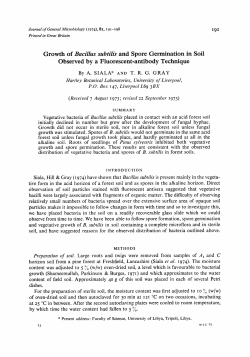 Growth of Bacillus subtilis and Spore Germination in Soil Observed
