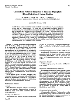 Chemical and Metabolic Properties of Adenosine Diphosphate