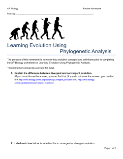 Learning Evolution Using Phylogenetic Analysis