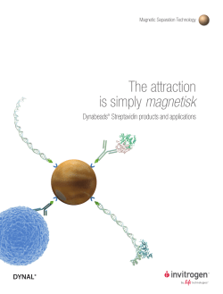 Dynabeads&reg; Streptavidin products and