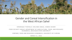 Gender and Cereal Intensification in the West African Sahel