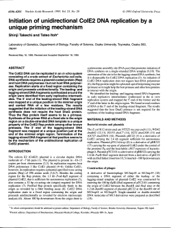 Initiation of unidirectional ColE2 DNA replication