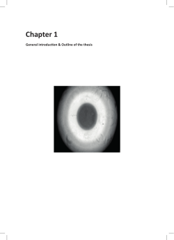 Chapter 1 - VU-dare