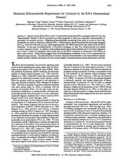 Minimum Ribonucleotide Requirement for Catalysis by the RNA