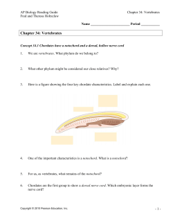 Chapter 34: Vertebrates