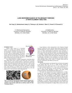 LUNG MICROMECHANICS OF PULMONARY FIBROSIS: A FINITE