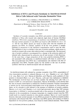 Inhibition of RNA and Protein Synthesis in Interferon
