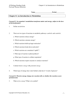 Chapter 8: An Introduction to Metabolism