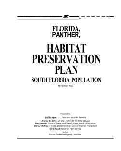 J1tK----...------. FLORIDA, PANTHER, HABITAT PRESERVATION
