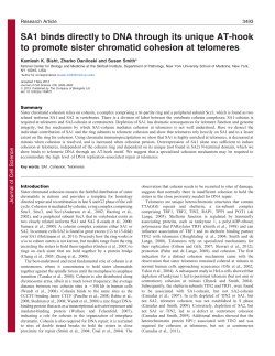 SA1 binds directly to DNA through its unique AT