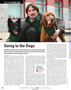 Going to the Dogs - Indiana University Cognitive Science Program