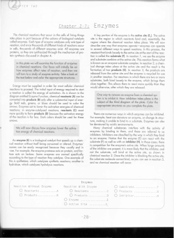 Enzymes - tcurry1977