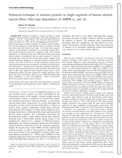 Full PDF - American Journal of Physiology