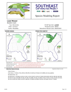 Least Weasel - Biodiversity and Spatial Information Center