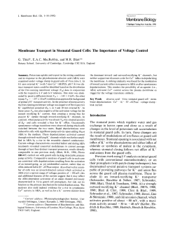 Membrane transport in stomatal guard cells: The importance