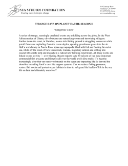 One Paragraph Description