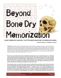 Beyond Bone Dry Memorization