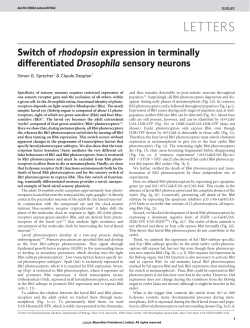 Sprecher Nature 2008