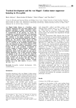 Tracheal development and the von Hippel &plusmn; Lindau tumor