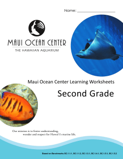 Second Grade - Maui Ocean Center
