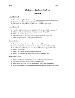Life Science &ndash; Bob Jones Univ Press Chapter 4