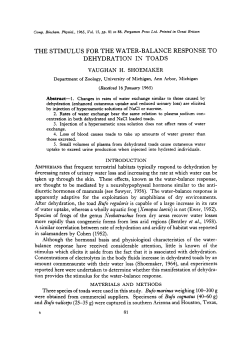 the stimulus for the water-balance response to