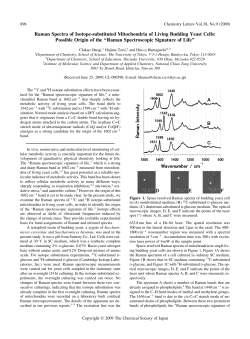 Raman Spectra of Isotope-substituted Mitochondria of Living