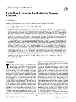 Dental wear in immature Late Pleistocene European hominines