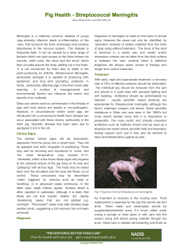 Streptococcal Meningitis