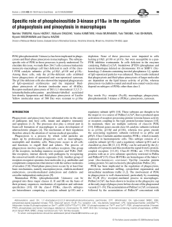 Specific role of phosphoinositide 3-kinase p110α in the regulation of